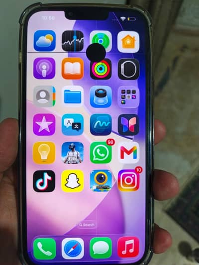Apple iPhone 13 Pro Max
