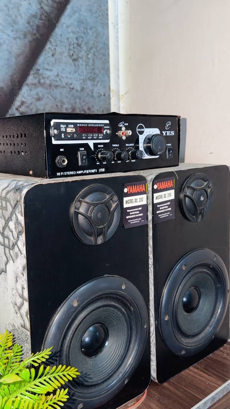 Bluetooth speaker with Amplifier 0