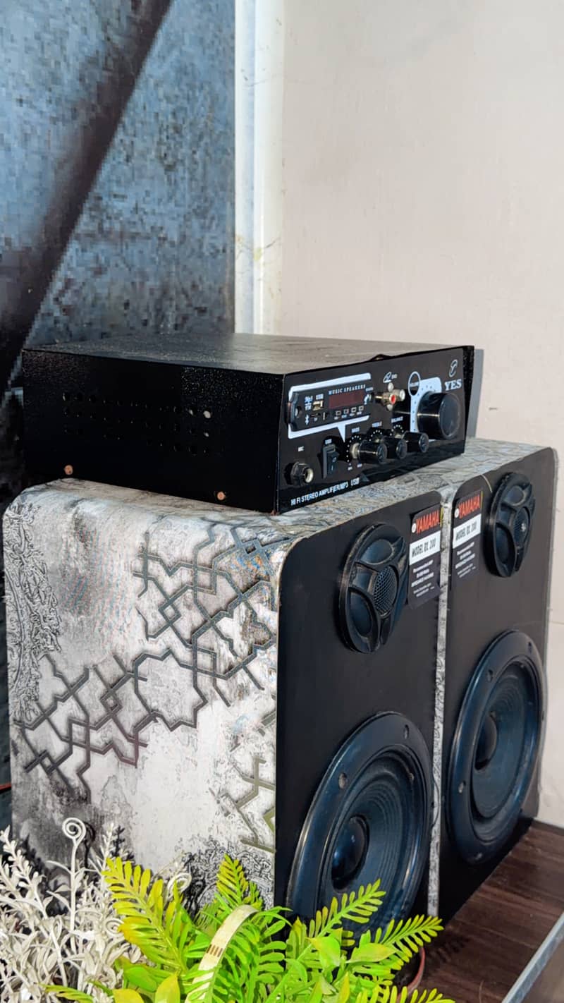 Bluetooth speaker with Amplifier 1