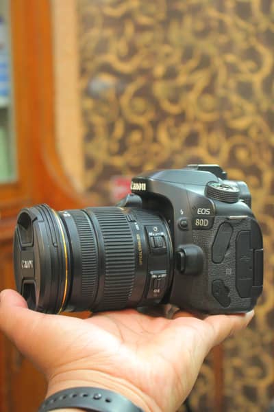 Canon 80D with Sigma 17-50mm f/2.8 Lens 10/10+++
