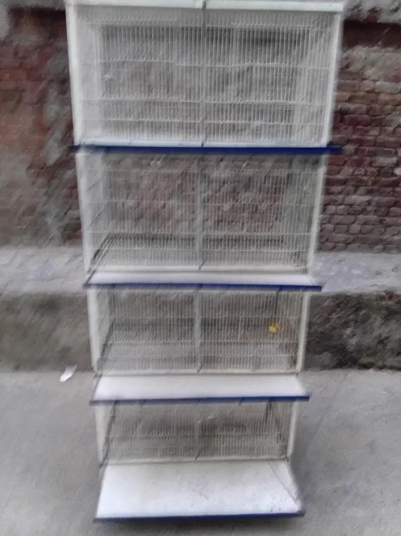 8 box's cage — photo 2