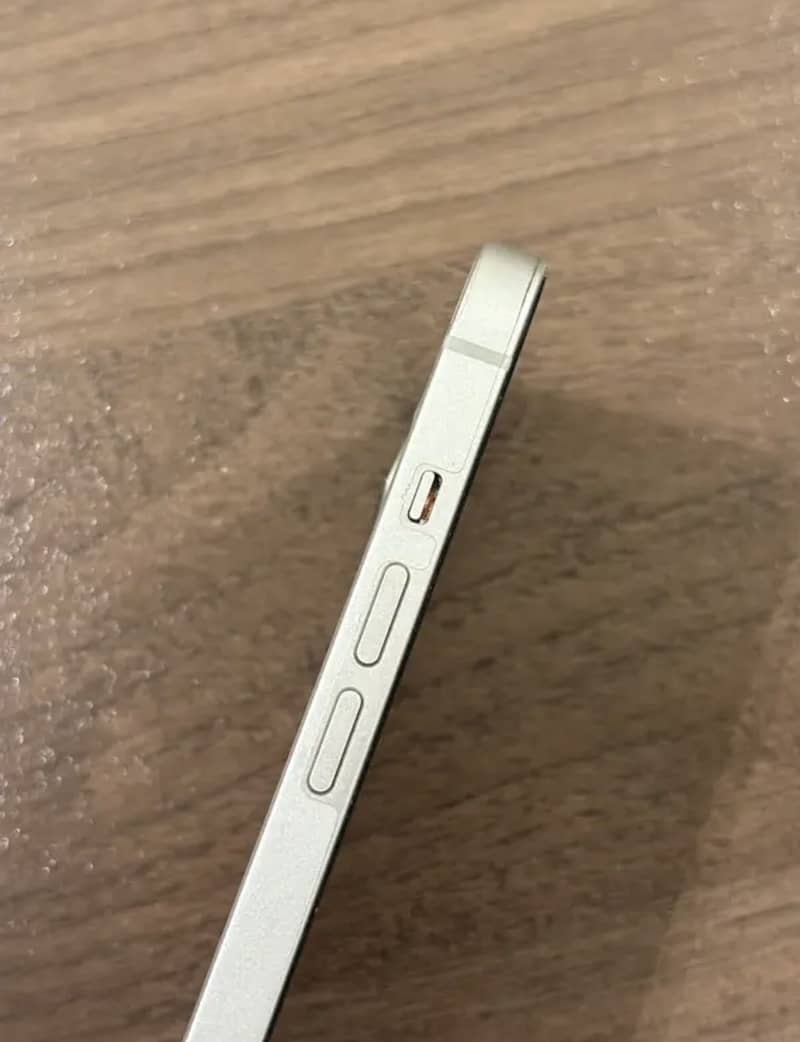 Apple iPhone 13 0