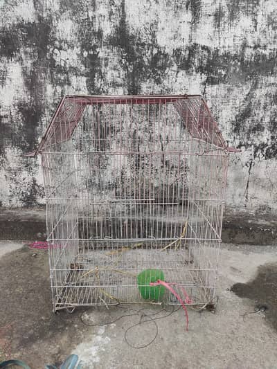 Small cage