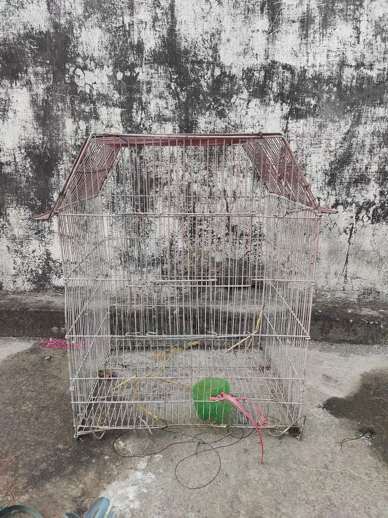 Small cage