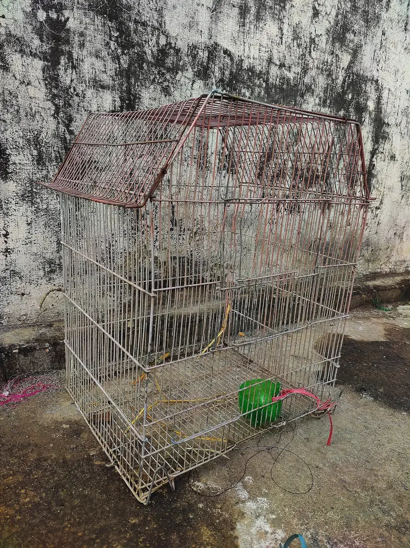 Small cage — photo 2
