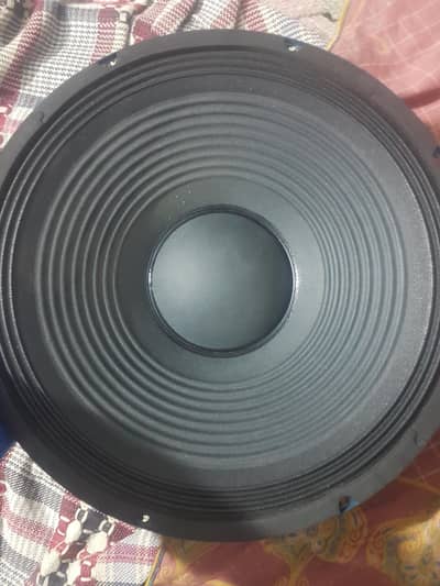 12 inch speakers 1