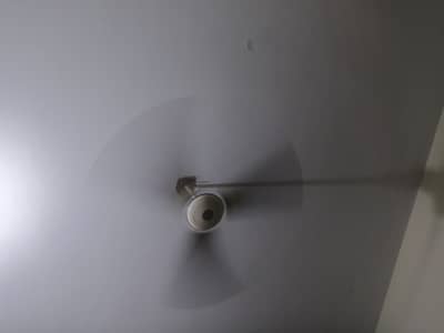 2 Royal Full size fan