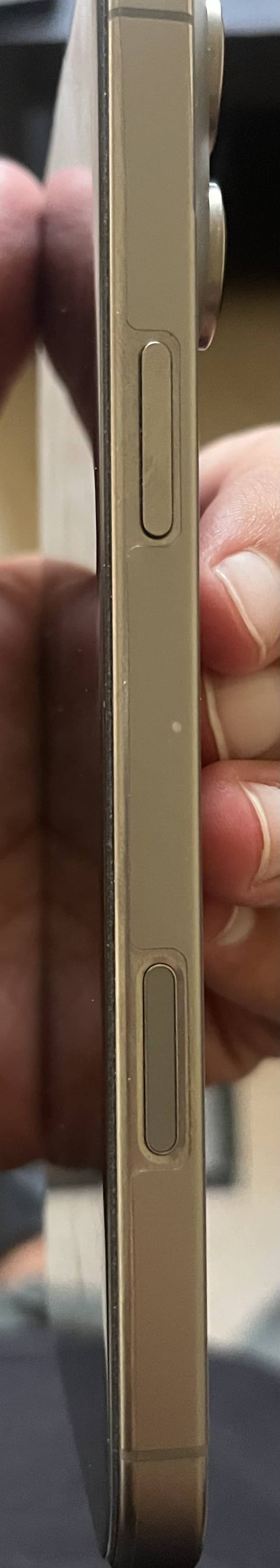 Apple iPhone 16 Pro Max 1
