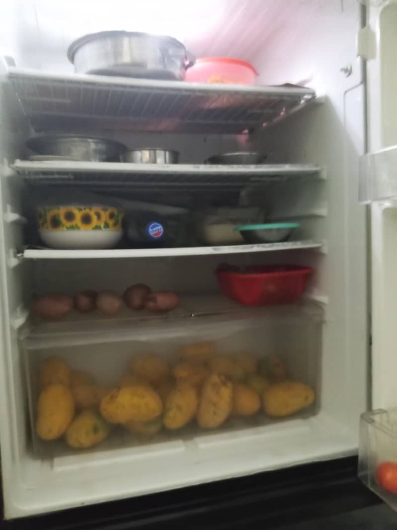 fridge 2