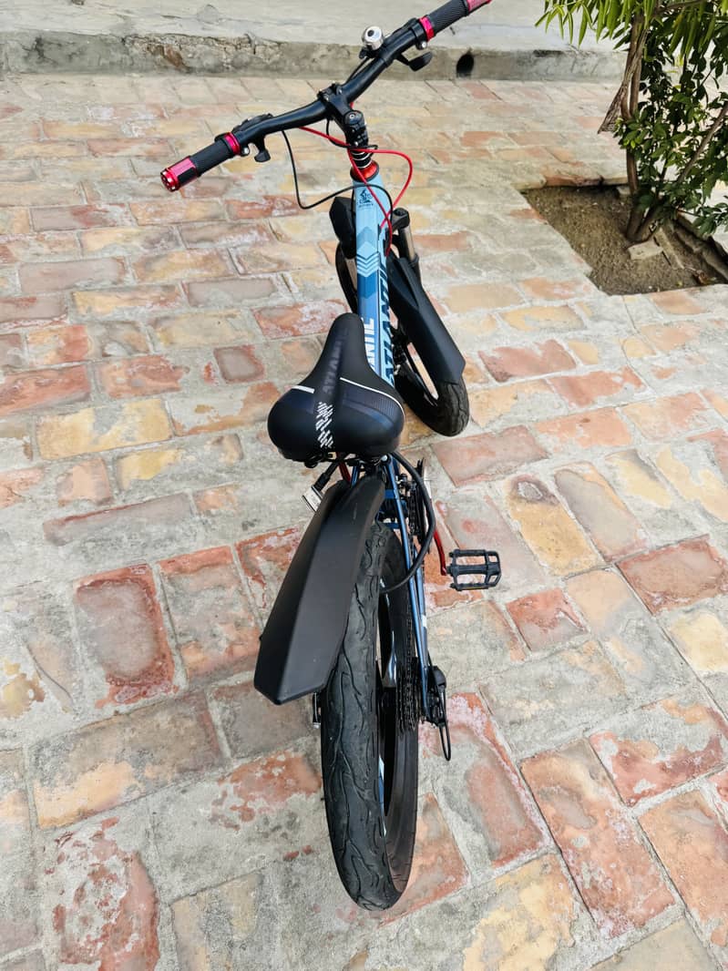 Cycle 2