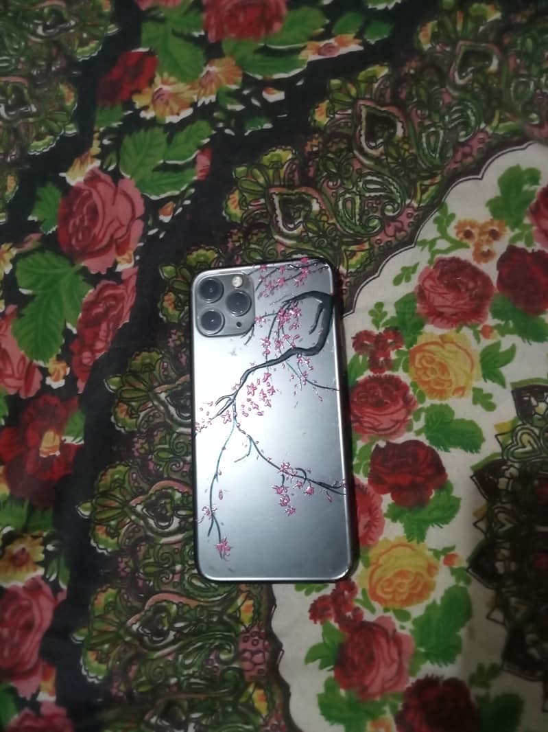 iPhone 11 pro 0