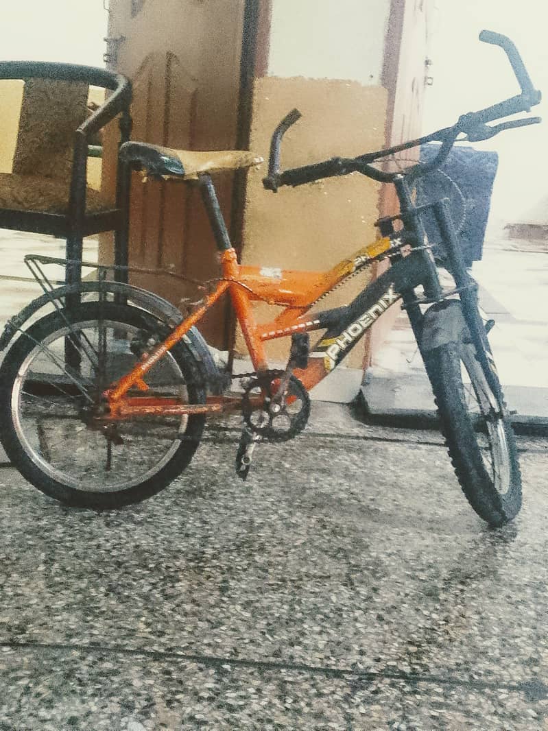 bicycle 1