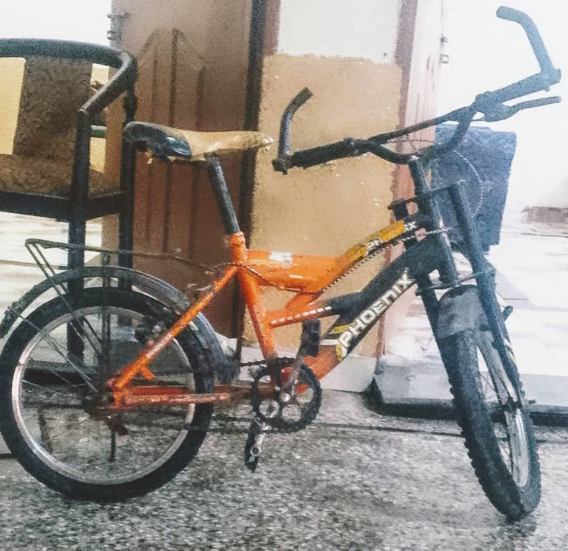 bicycle 2