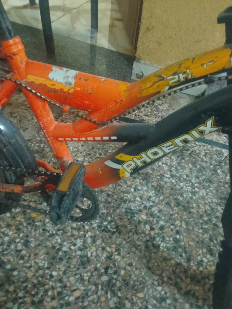 bicycle 6
