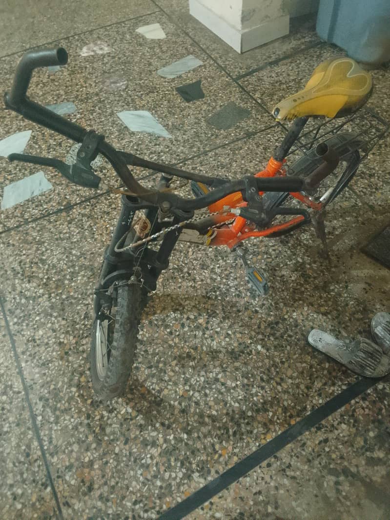 bicycle 11