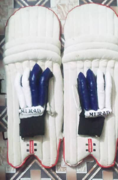 Hard ball gloves and leg paids