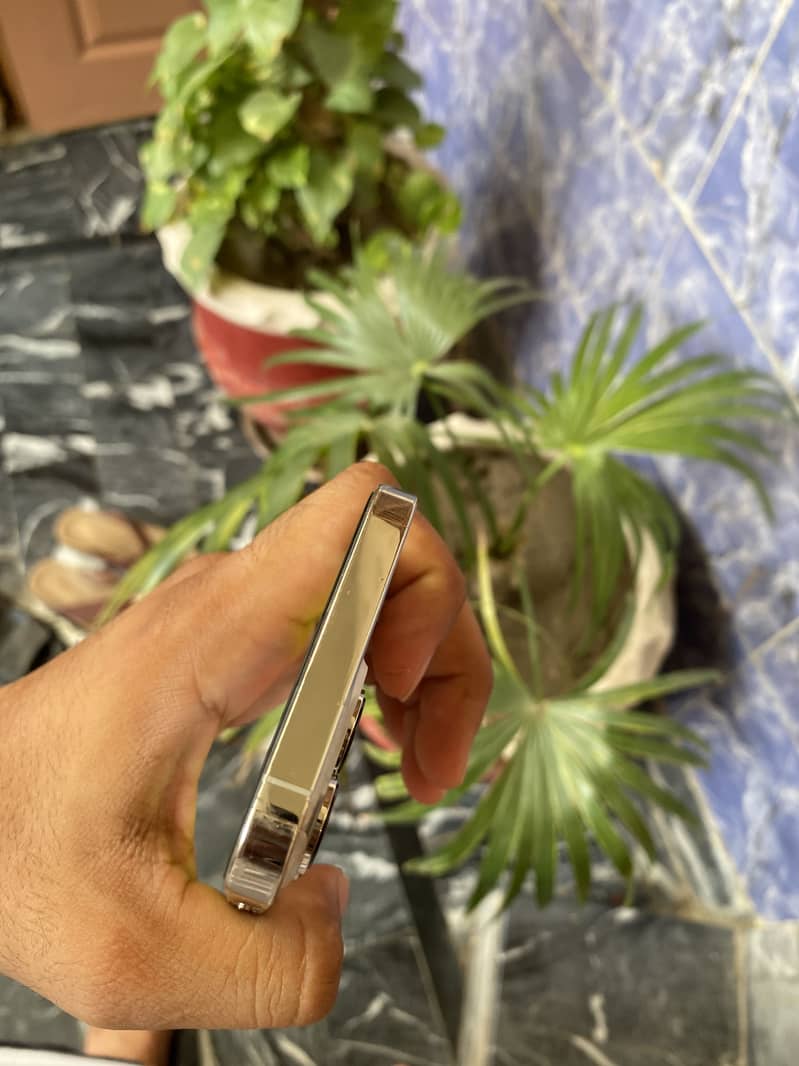 iPhone 13 Pro 1