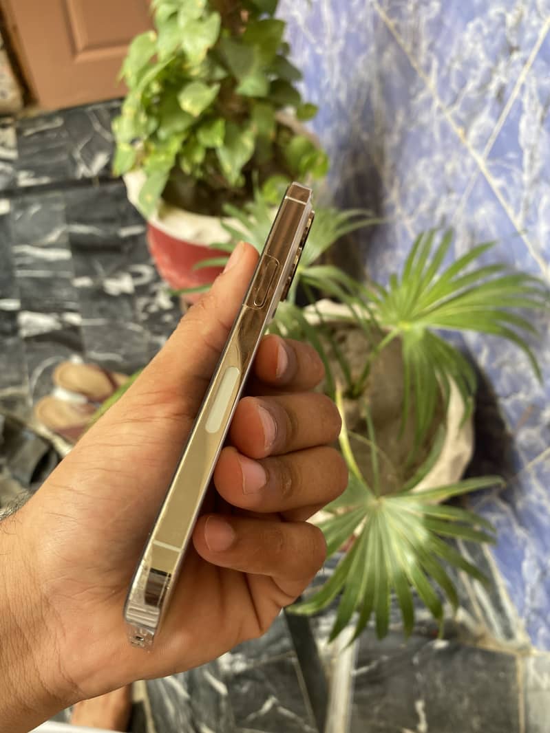 iPhone 13 Pro 2