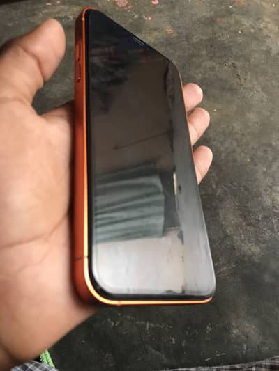 Xrconverted17 promax