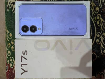 Vivo Y17s