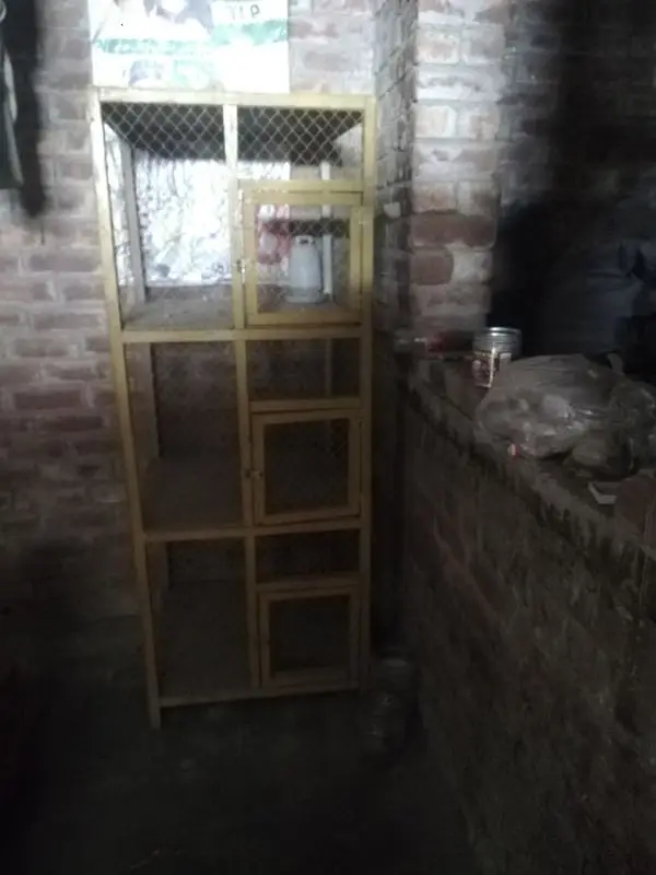 3 doors hens or piegons cage — photo 3