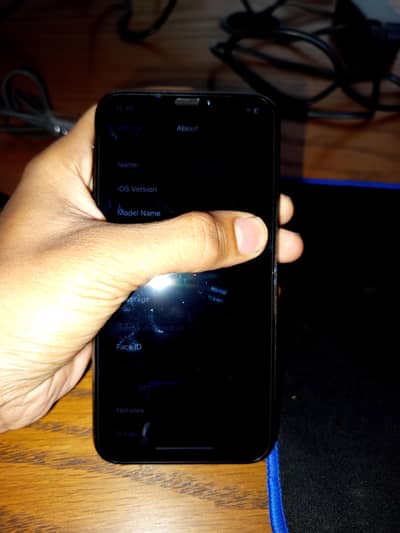 Apple iPhone X