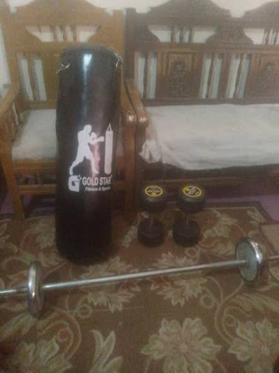 dumblus punching bag