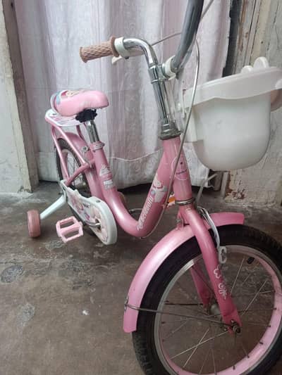 cycle