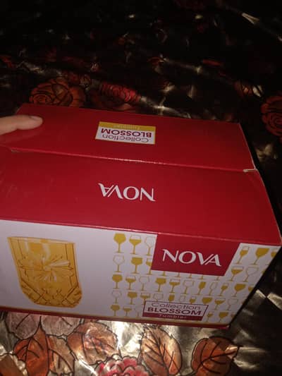 Nova Blossom Glass Tumbler Set - 6 Pieces (280ml) - New