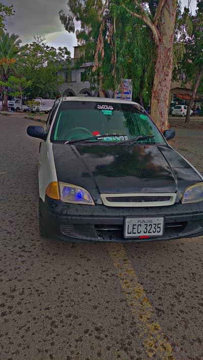Suzuki caltus