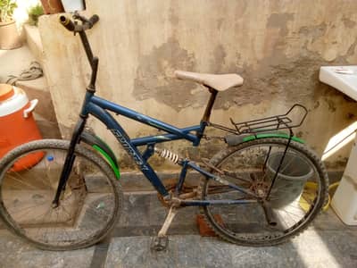 bicycle for sle