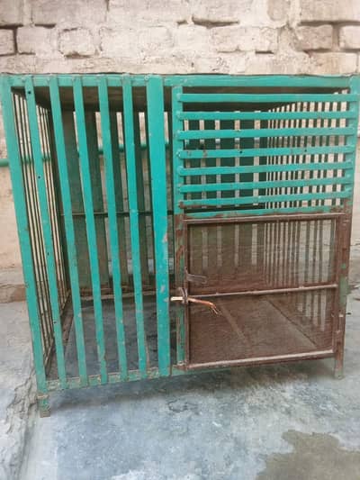 Hen Cage