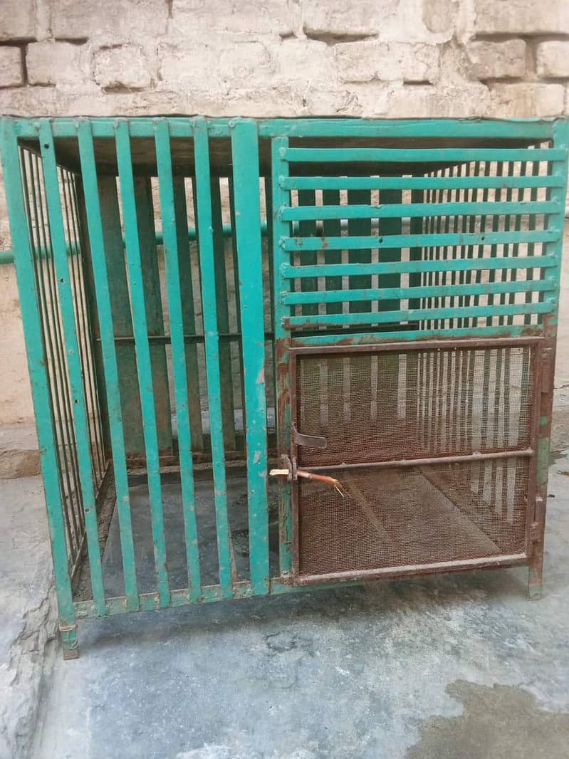 Hen Cage 0
