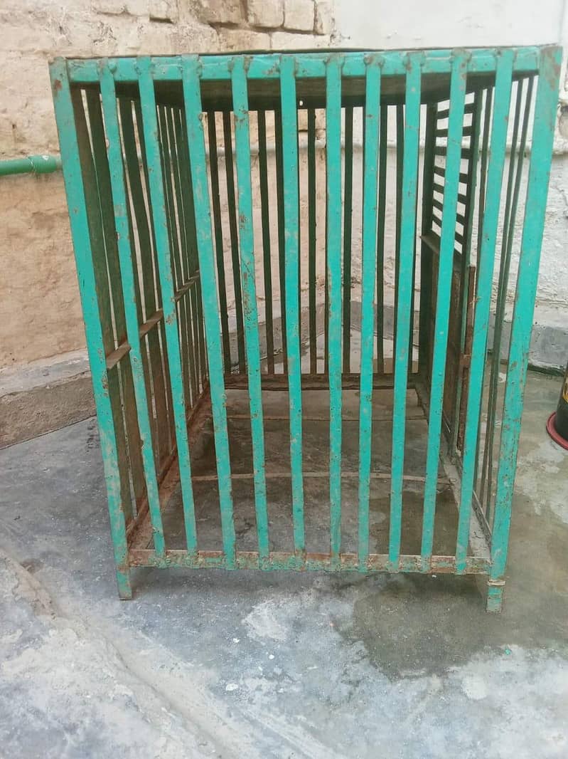 Hen Cage 1