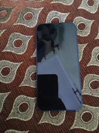 Apple iPhone 12 mini