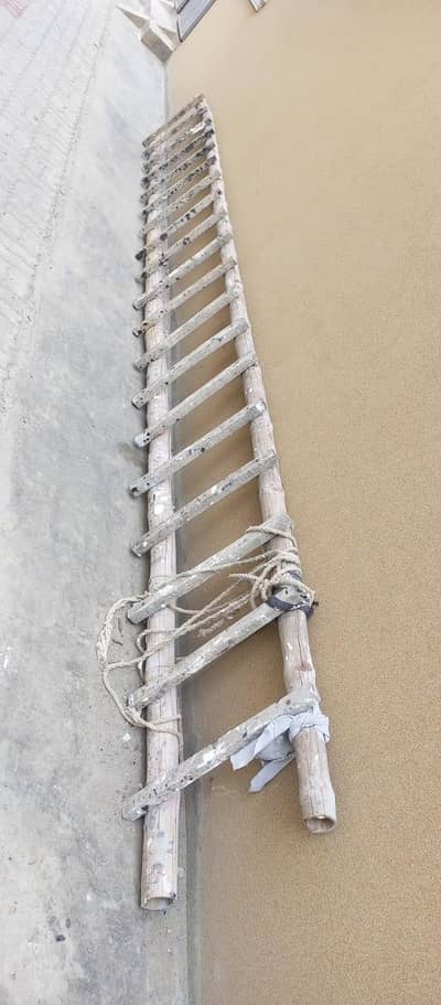 Ladder for Sale