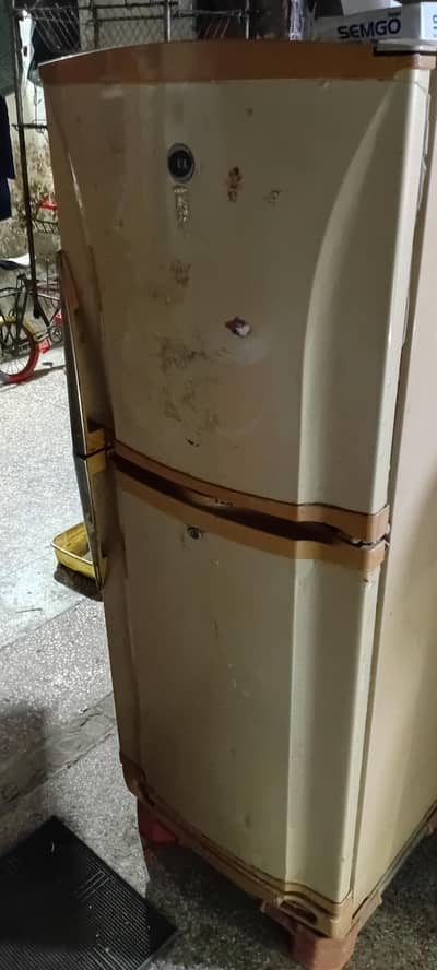 pel medium size fridge