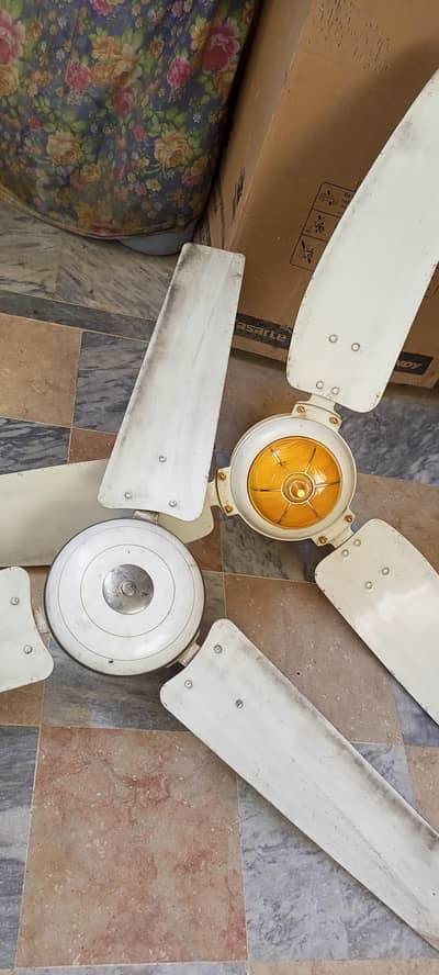 Royal Ceiling Fans For Sale.