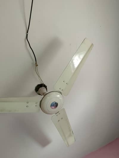 Royal fan