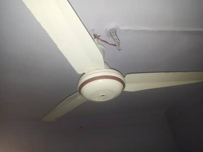 10/10 Fan