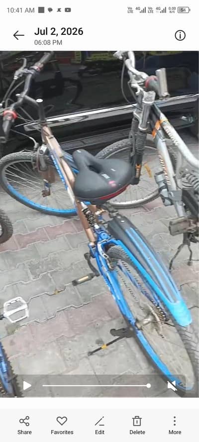 Morgan brand imported cycle adult