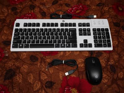 HP original wire keyboard and mouse