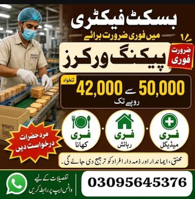 need urgent staff biscuits packing factory  male and female jobs