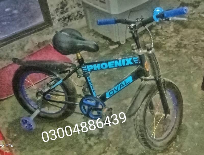 bicycle 0