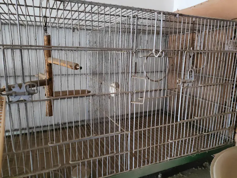2 portion cage 2500 1 portion cage 1200 — photo 2