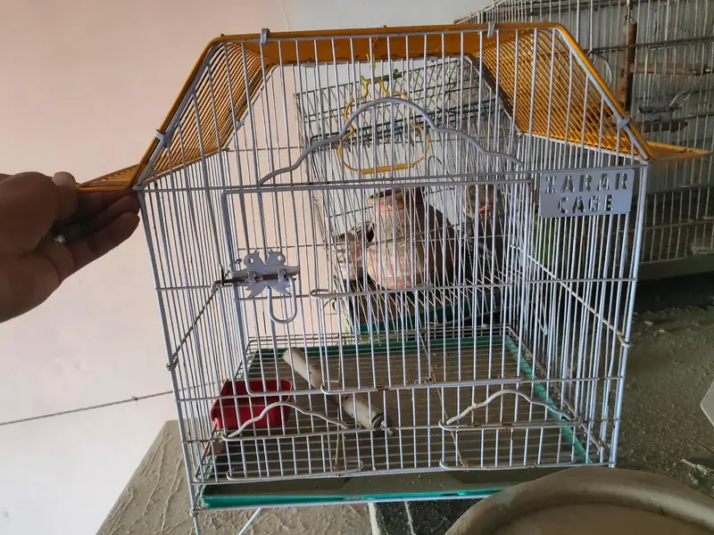 2 portion cage 2500 1 portion cage 1200 — photo 3