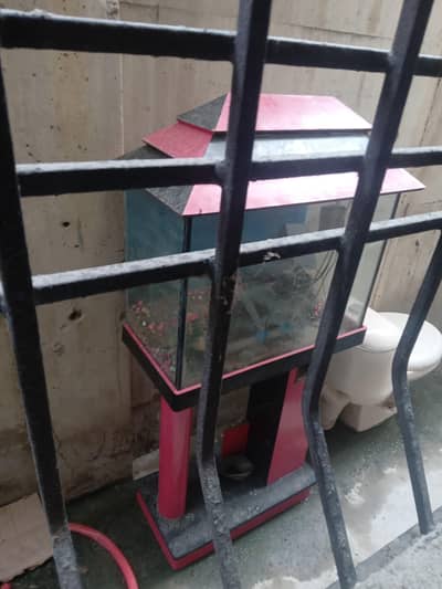 fish aquarium in good condition with all accessories
