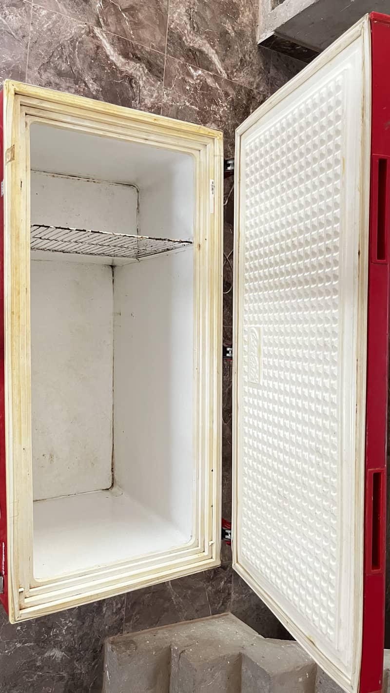 Cold Freezer 2