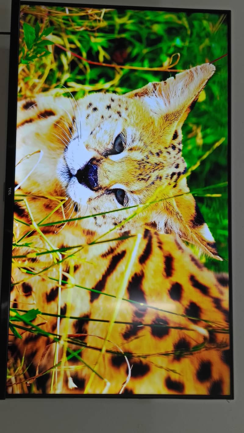 TCL S65A Android 1