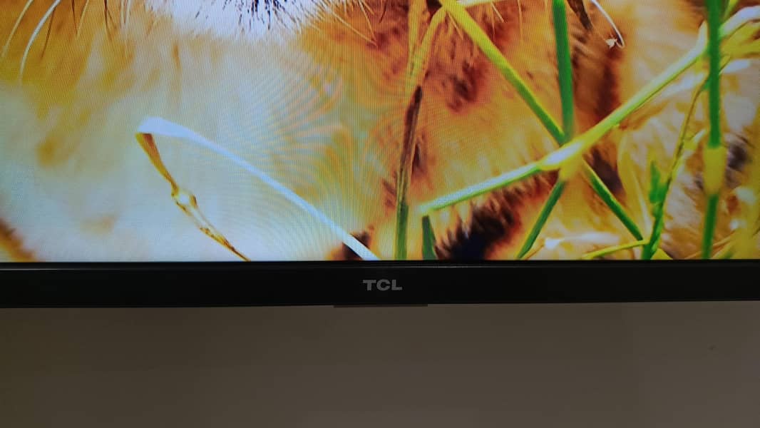 TCL S65A Android 5